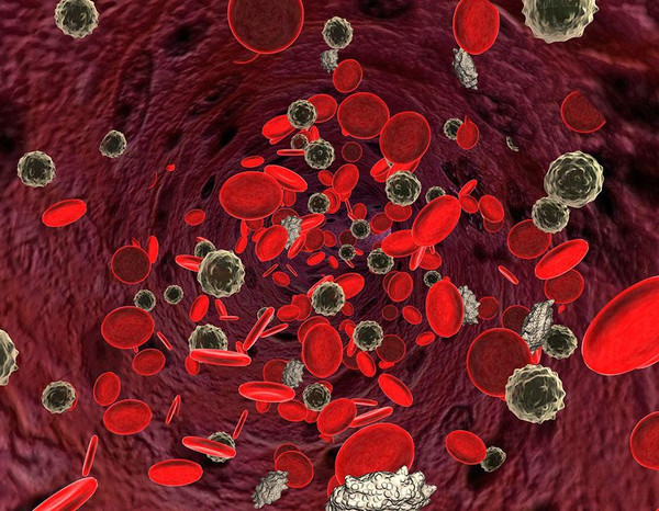 外周血循環腫瘤細胞(熒光標記版)